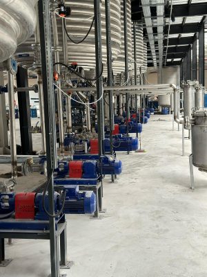 WhatsApp Image 2025-07-27 at 08.11.59